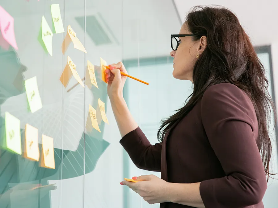 Professional Terminology Management