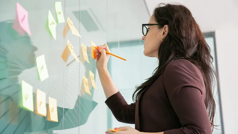 Terminology Management